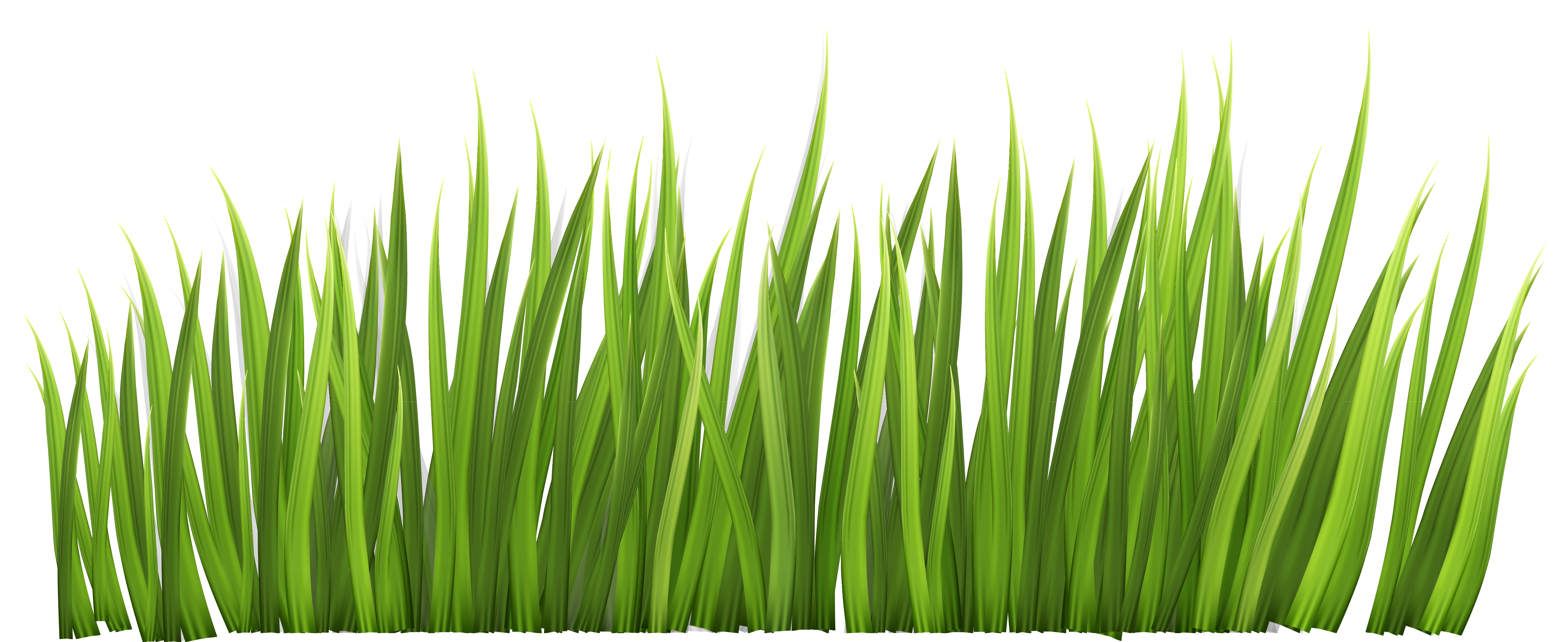 blades-of-grass-clipart-6